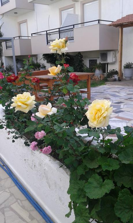 Pension Kyriakos プラキアス エクステリア 写真